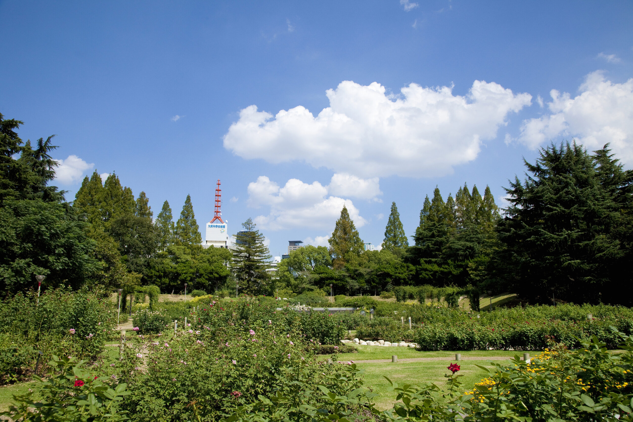 靱公園