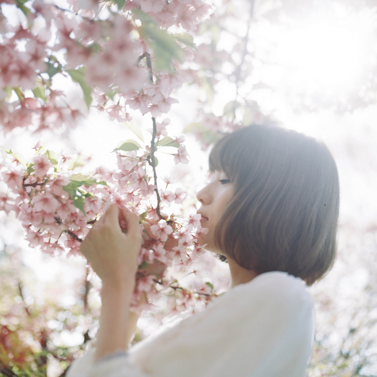 2 :: 姿勢を正す