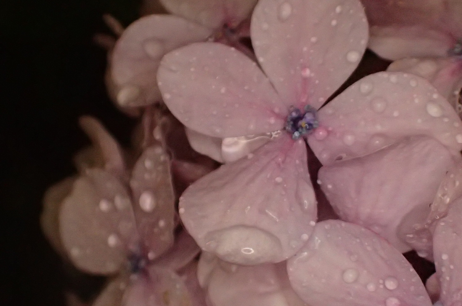 雨の日でも崩れませんように