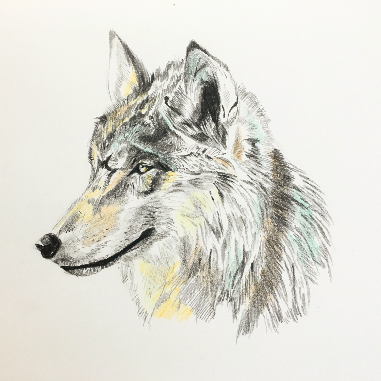 リアルに描くコツ
