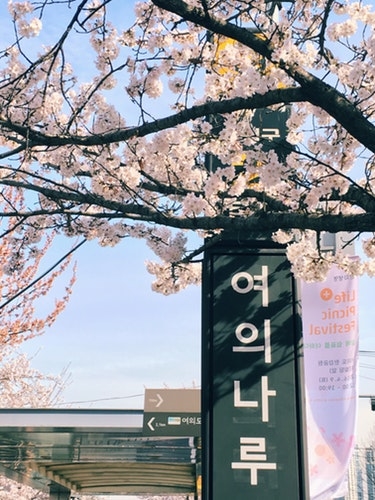 韓国語