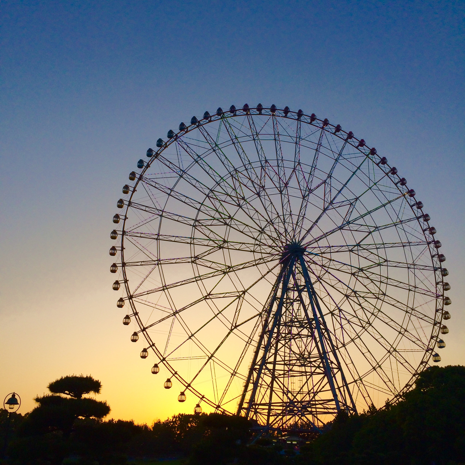 夜は夜景を見たい！