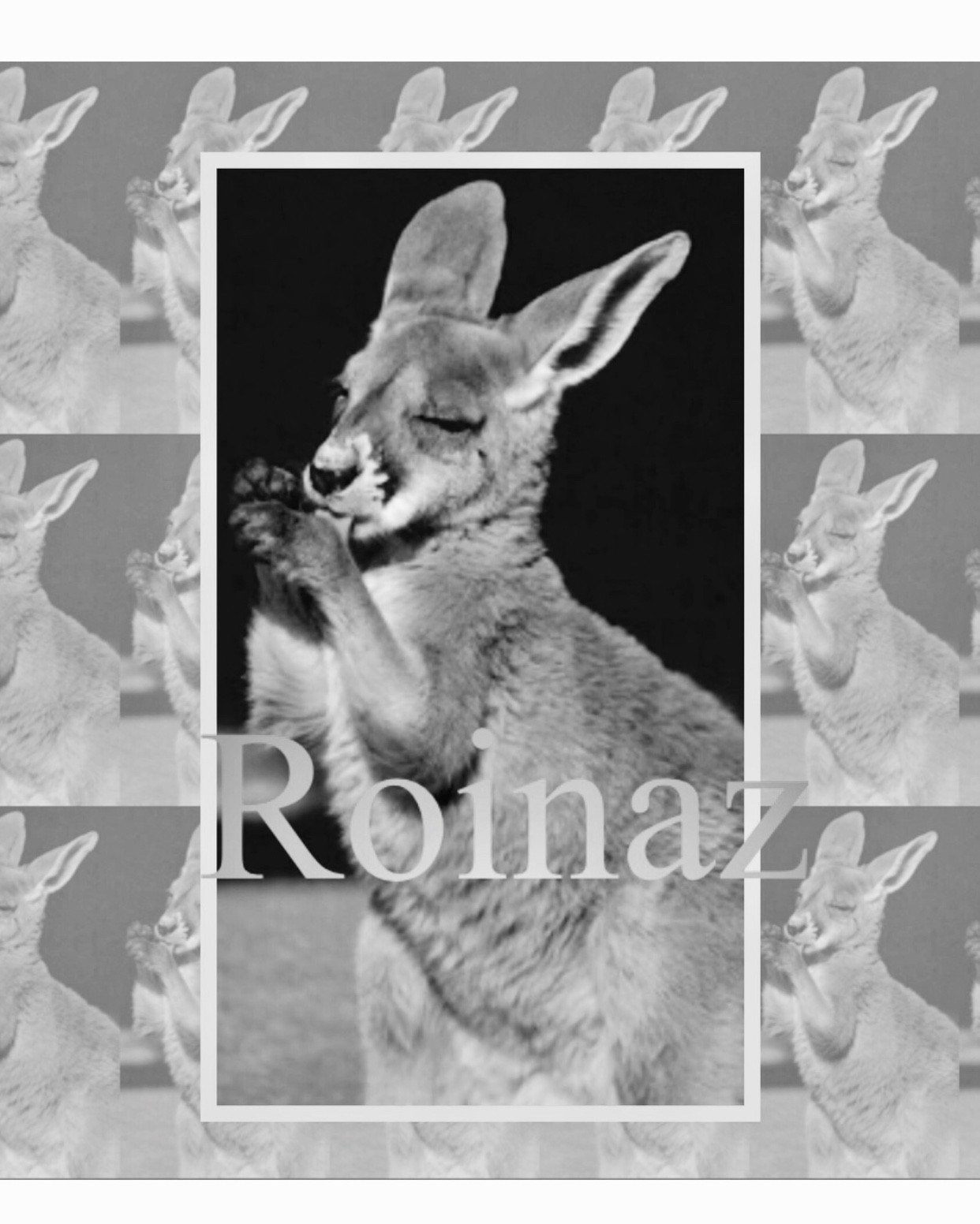 Roinaz