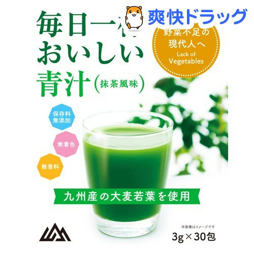 毎日一杯 おいしい青汁 抹茶風味（3g×30包）