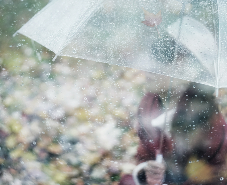 それは雨が降った時