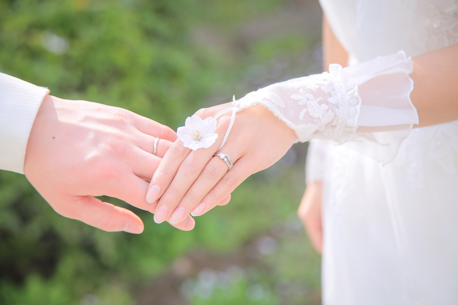 (1)あなたが彼に求める男性像に最も近いものを1つ選択せよ。