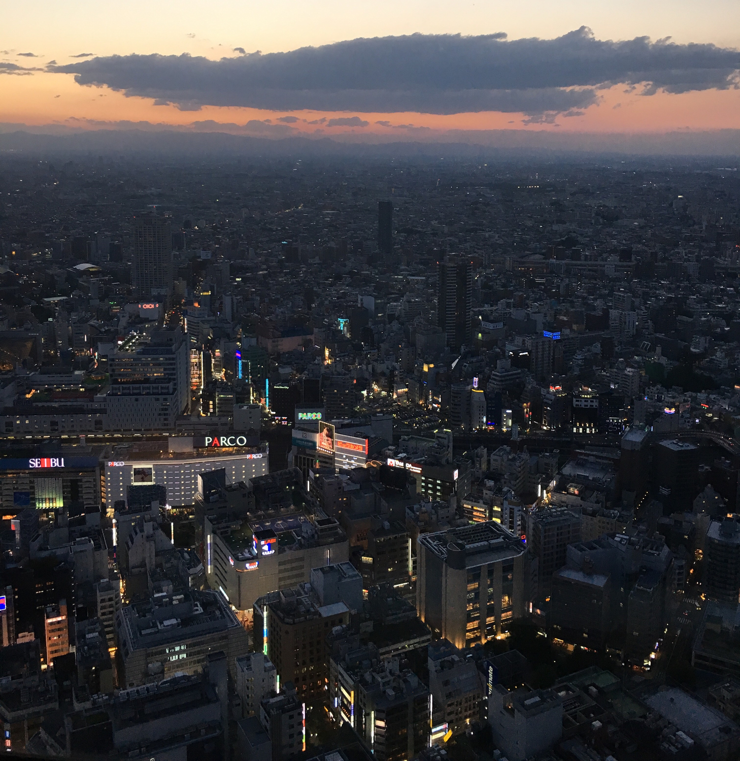 池袋のサンシャイン通り