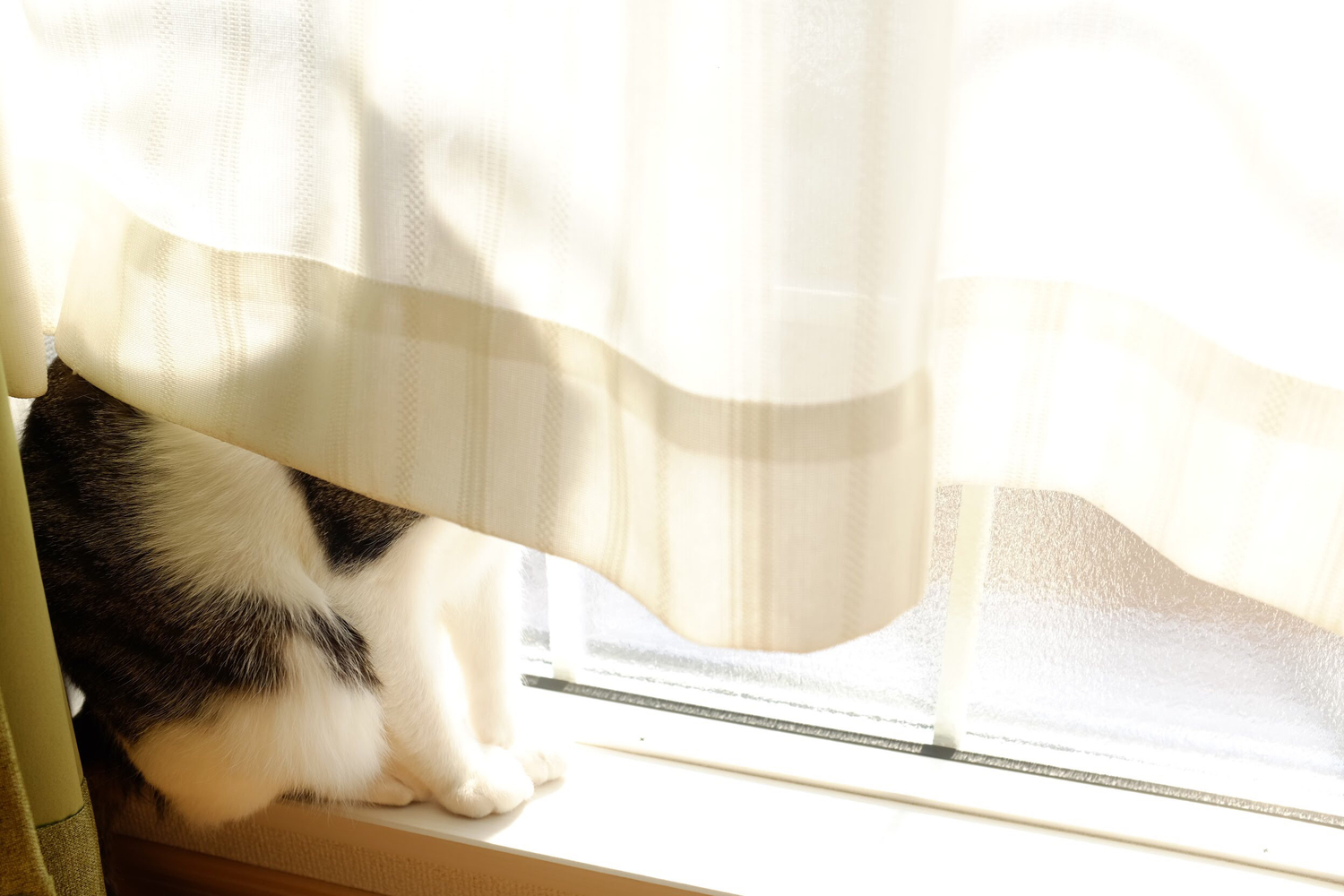 でも、ちょっと傷つく…