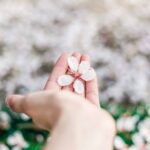 春は「別れ」の季節？今のカレと好きな人、新しい恋愛を始める前に考えたいこと