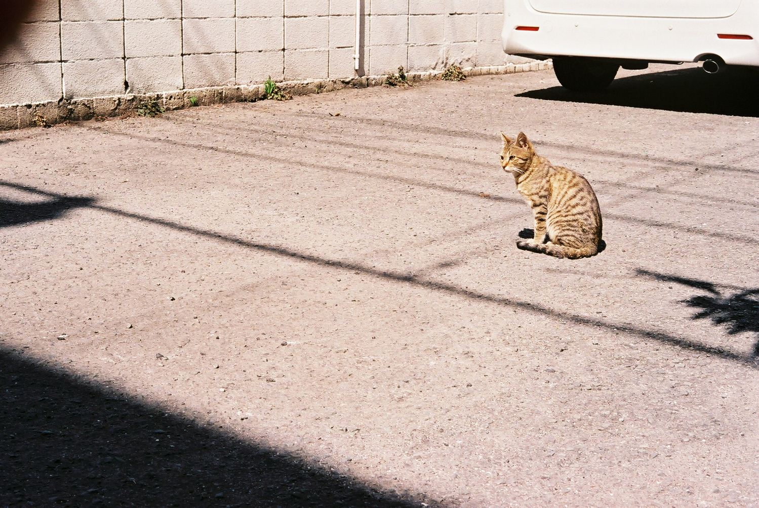 ◻︎ 猫背を矯正して姿勢を正す