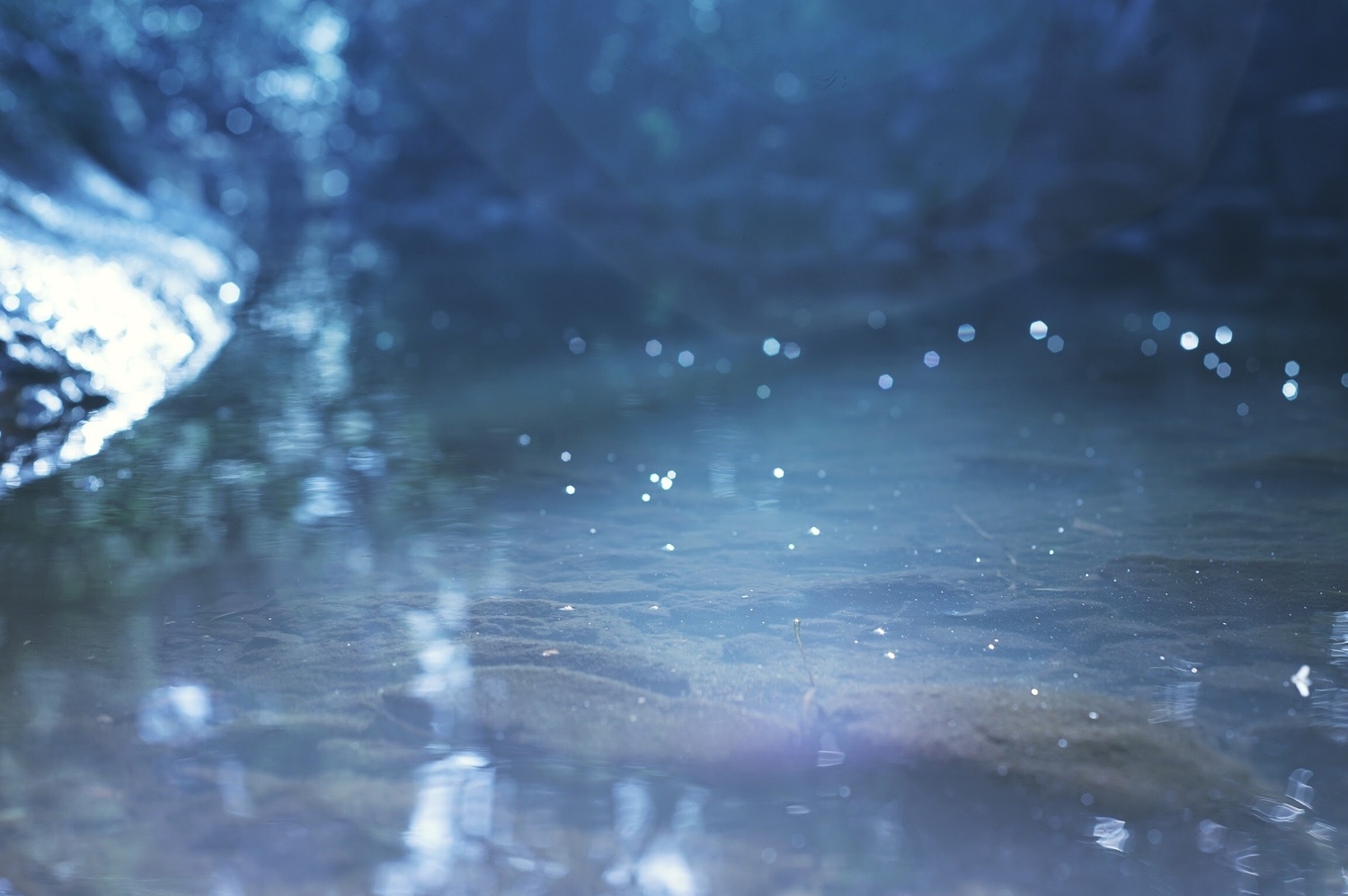 ぬるま湯で洗う