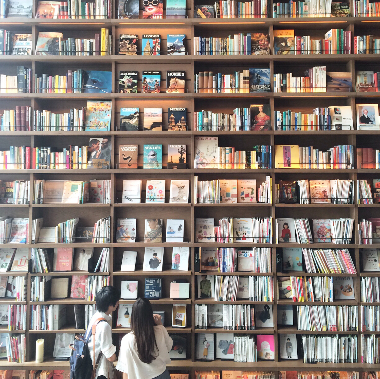 きれいな収納で読書もはかどりそう