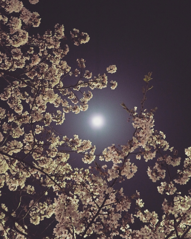 次会える夜まで、また