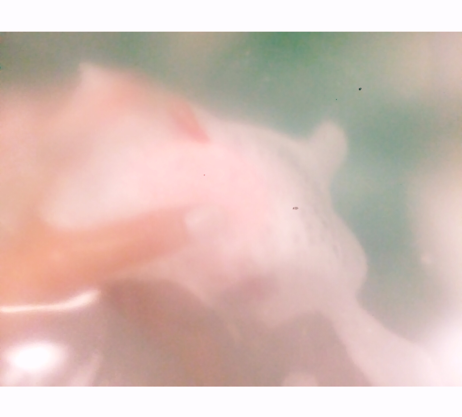 Step1:洗顔