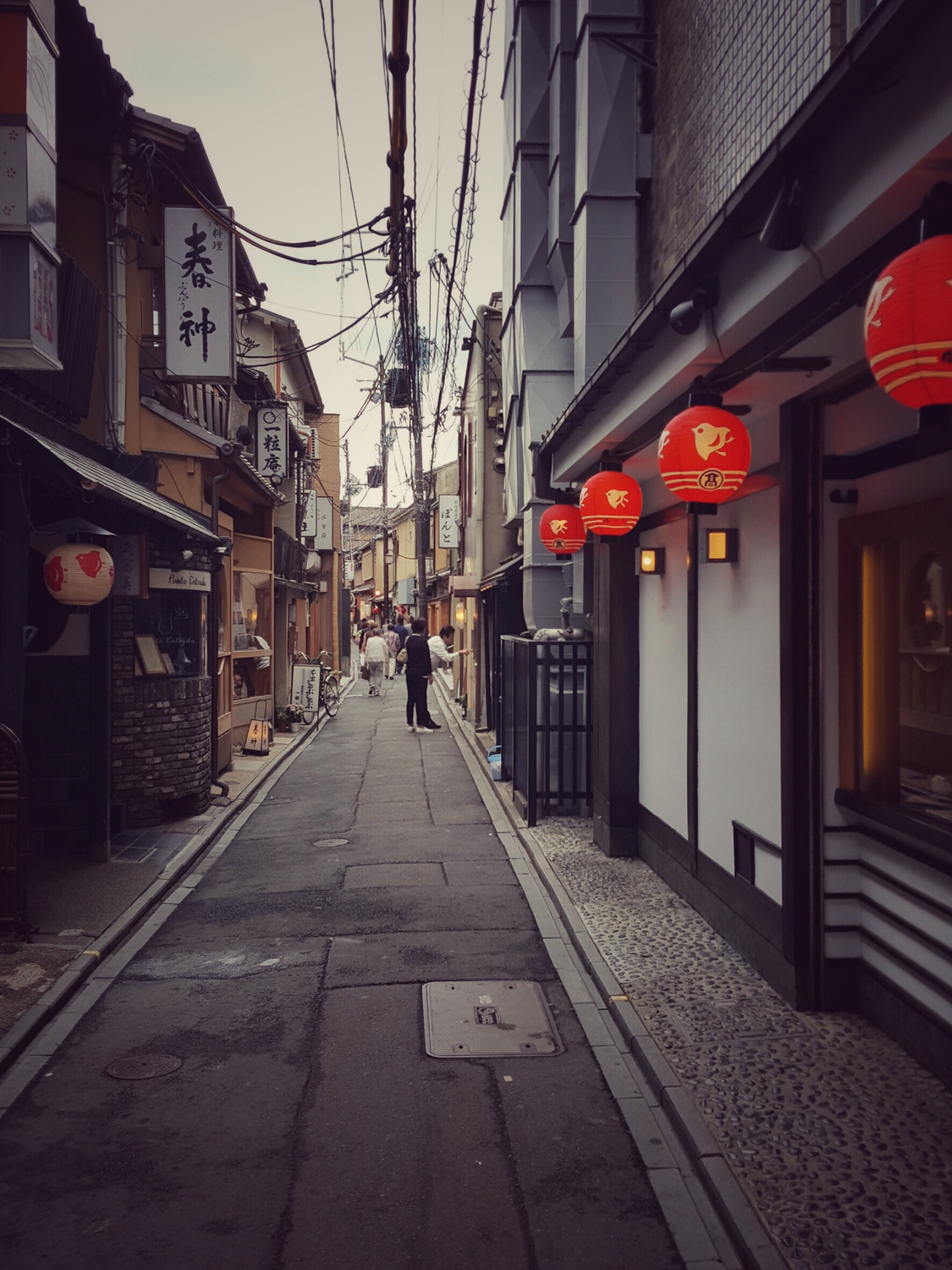 最近京都が飲み天国らしい…