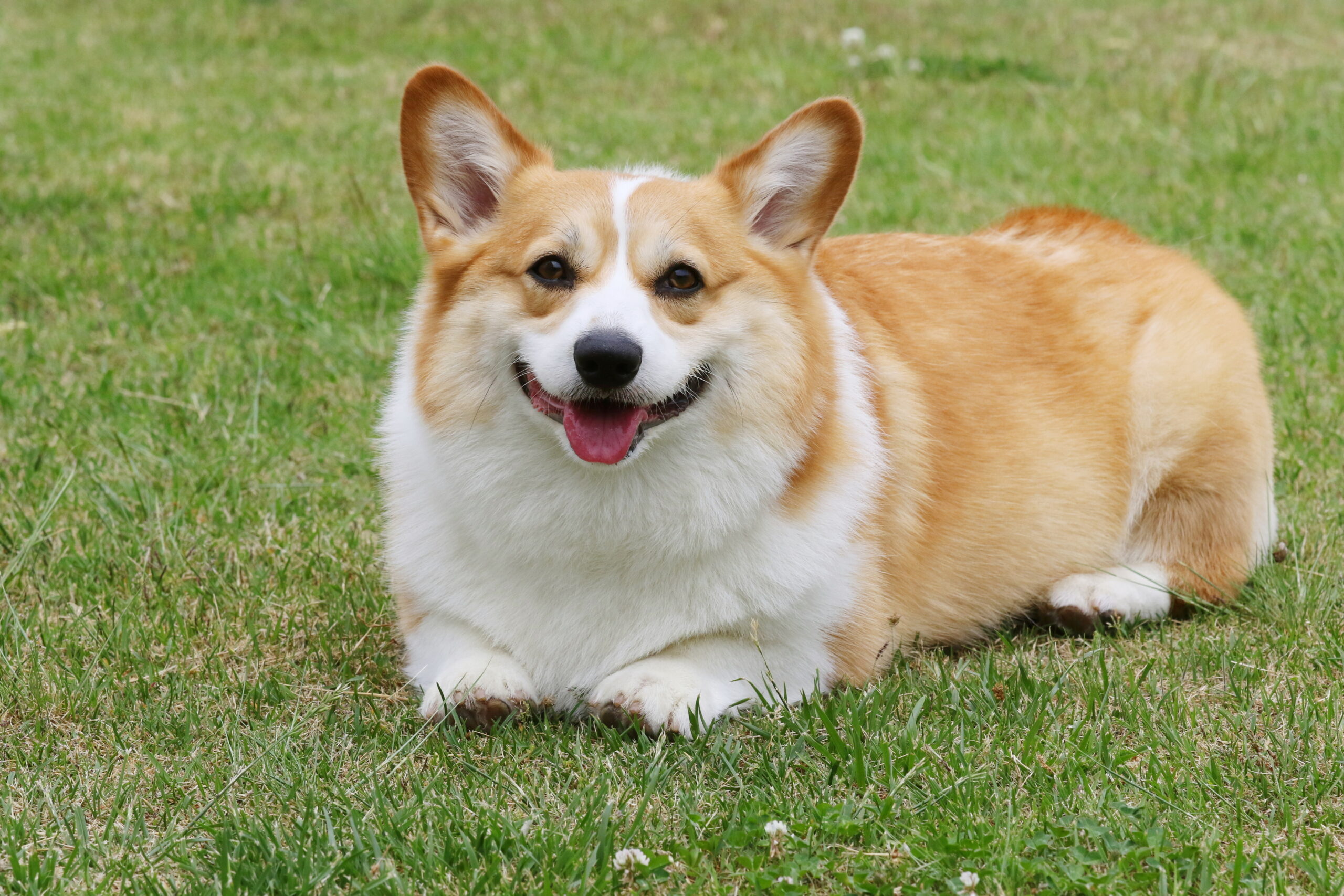 今すぐ抱きしめた〜い!