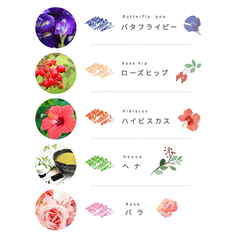 野菜やお花で作られているの。mizuiroのクレヨンで久しぶりにお絵かきしよう｜MERY
