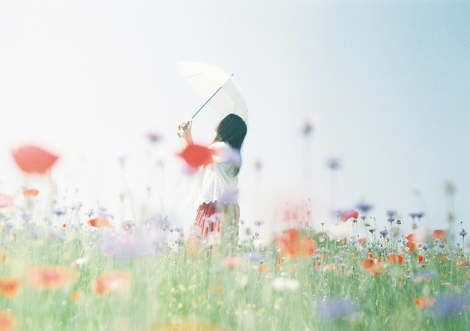 いつか、あの子のように。