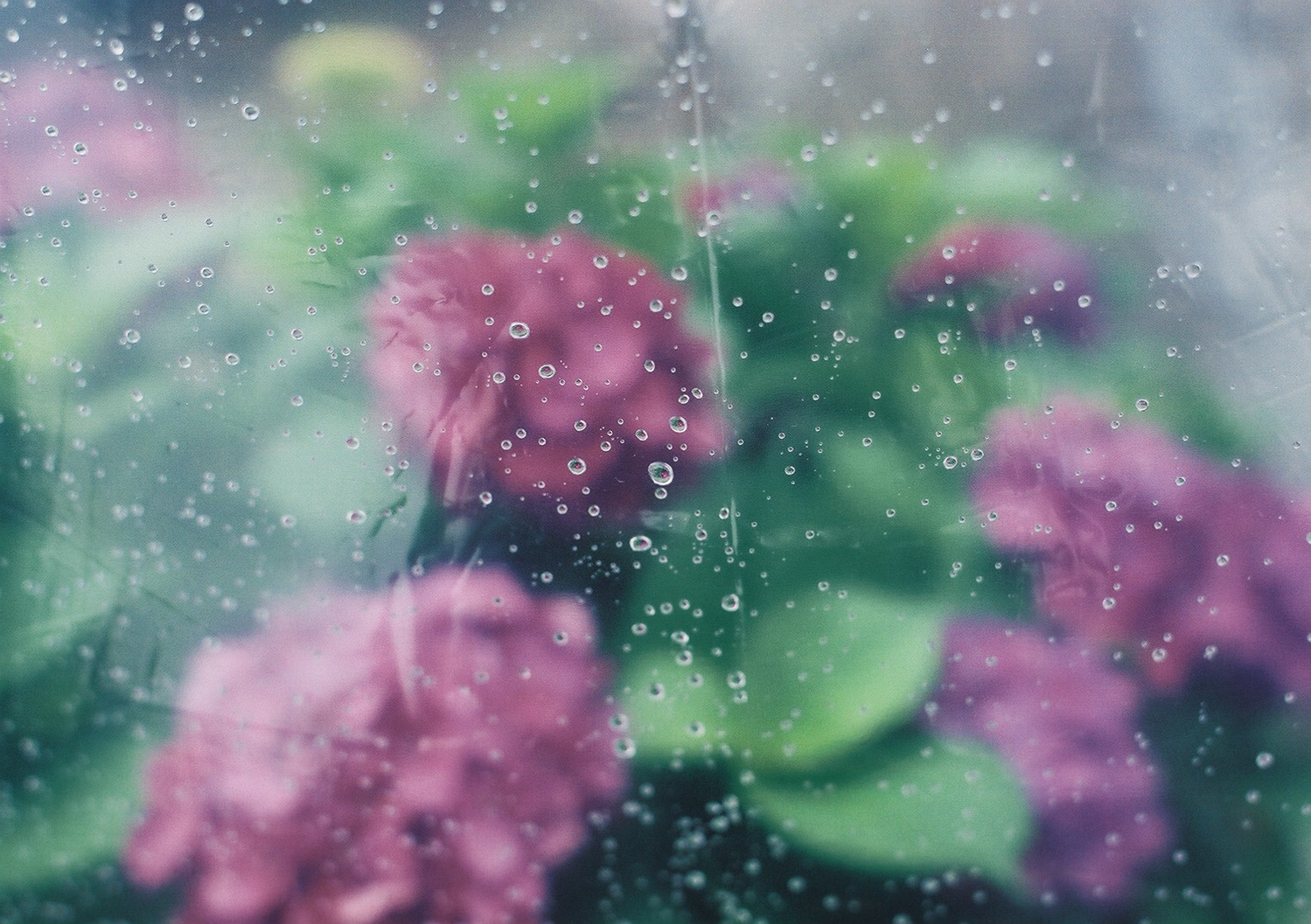 雨が降るとしたいことを伝える