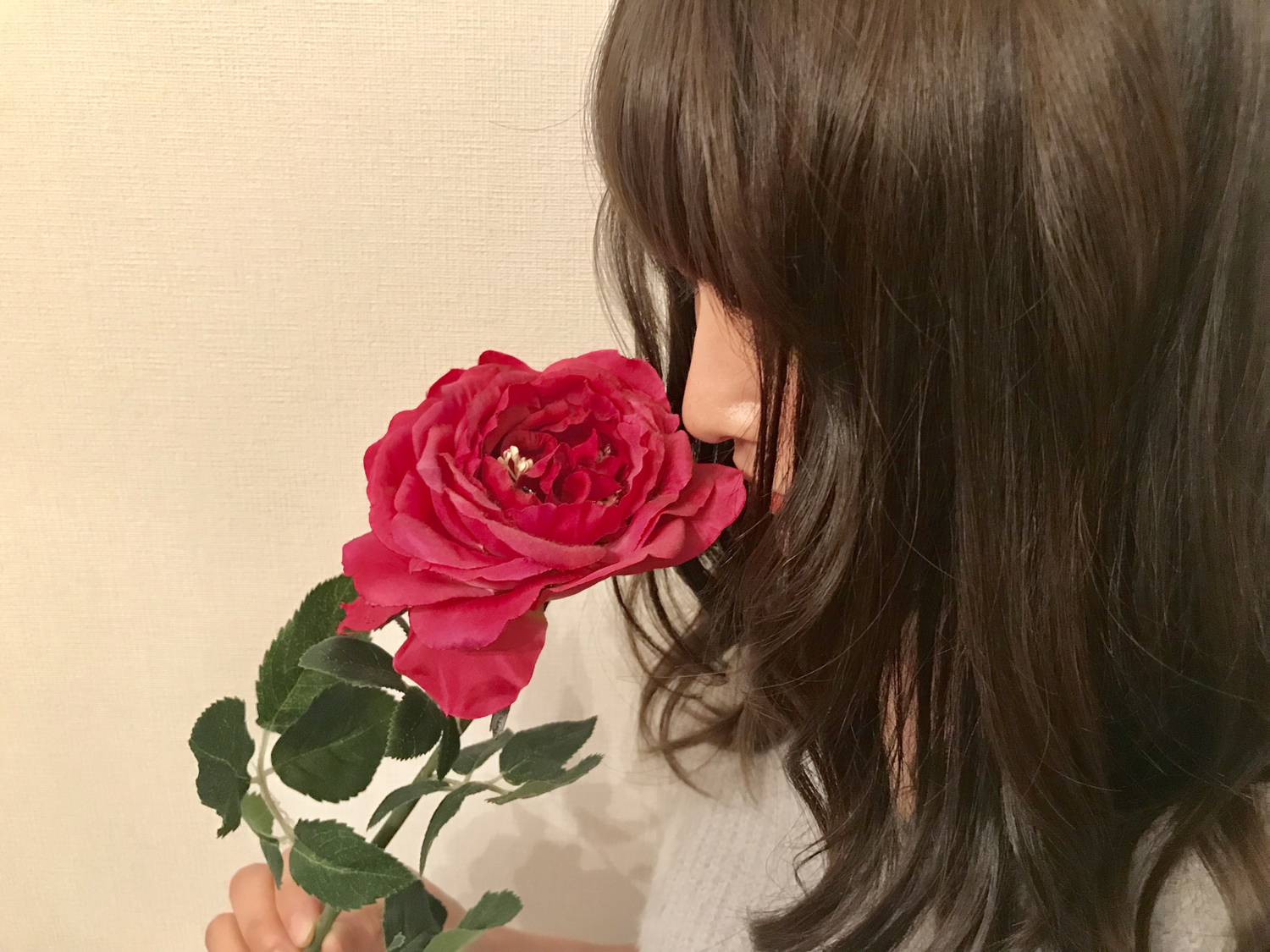 情熱的な赤い花
