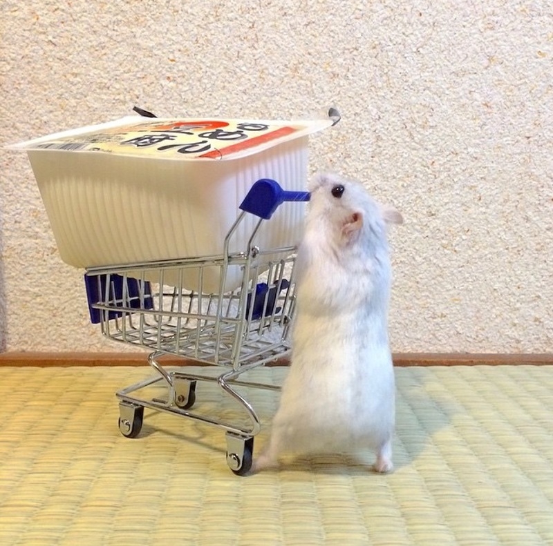 ①豆腐一丁のカロリーって?