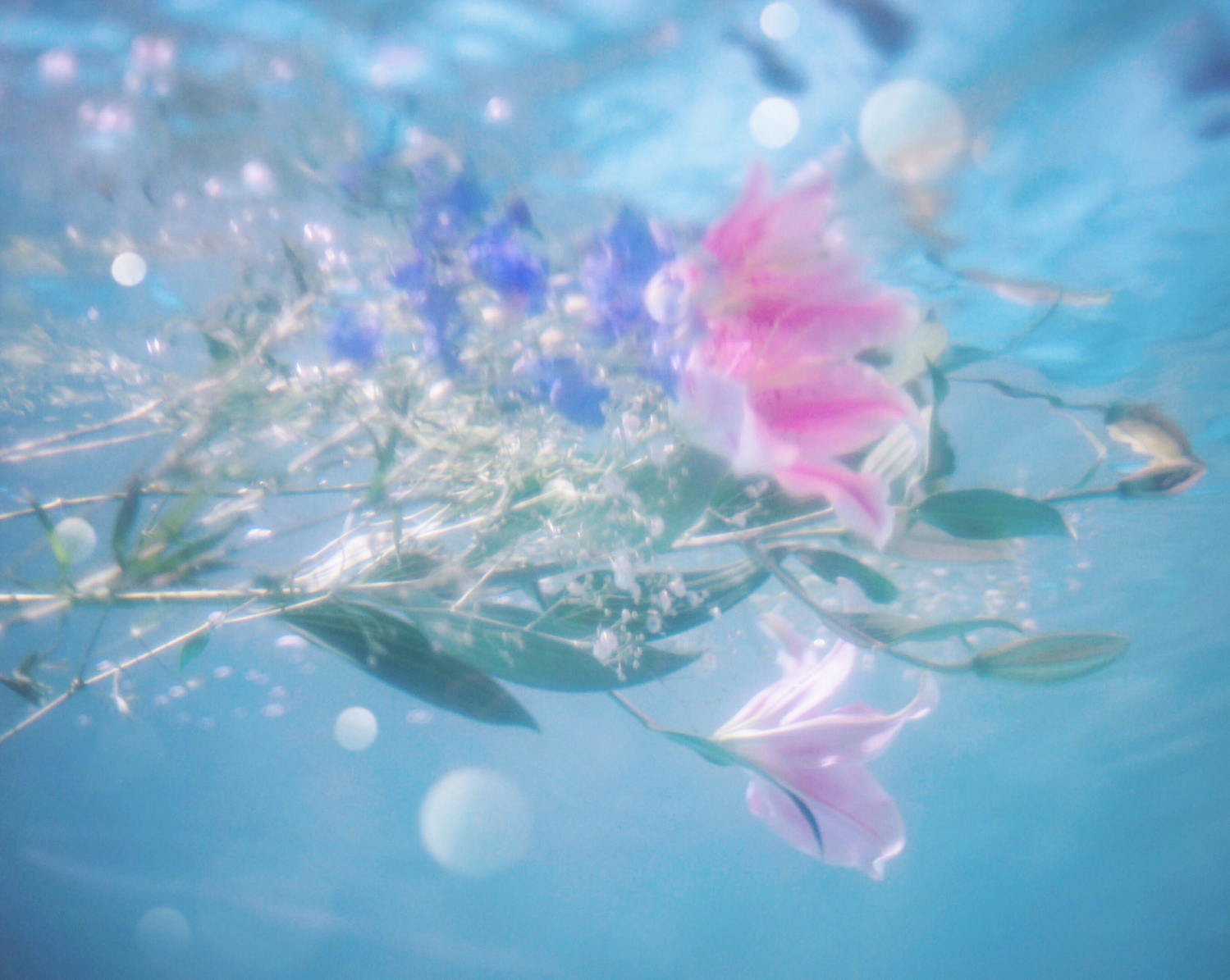 2__ さっぱり使用感で、しっかり浸透