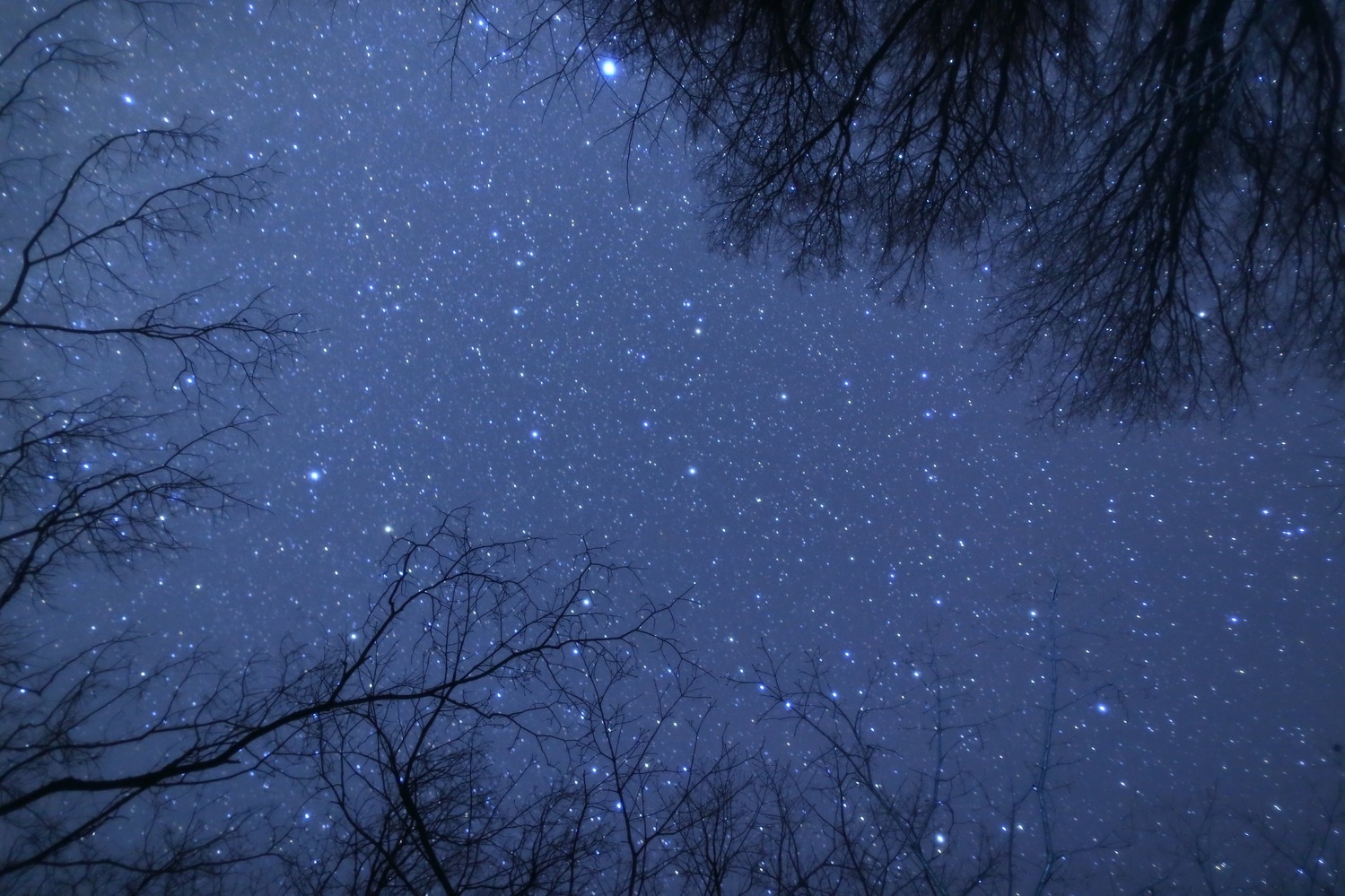 _星を見に行こう