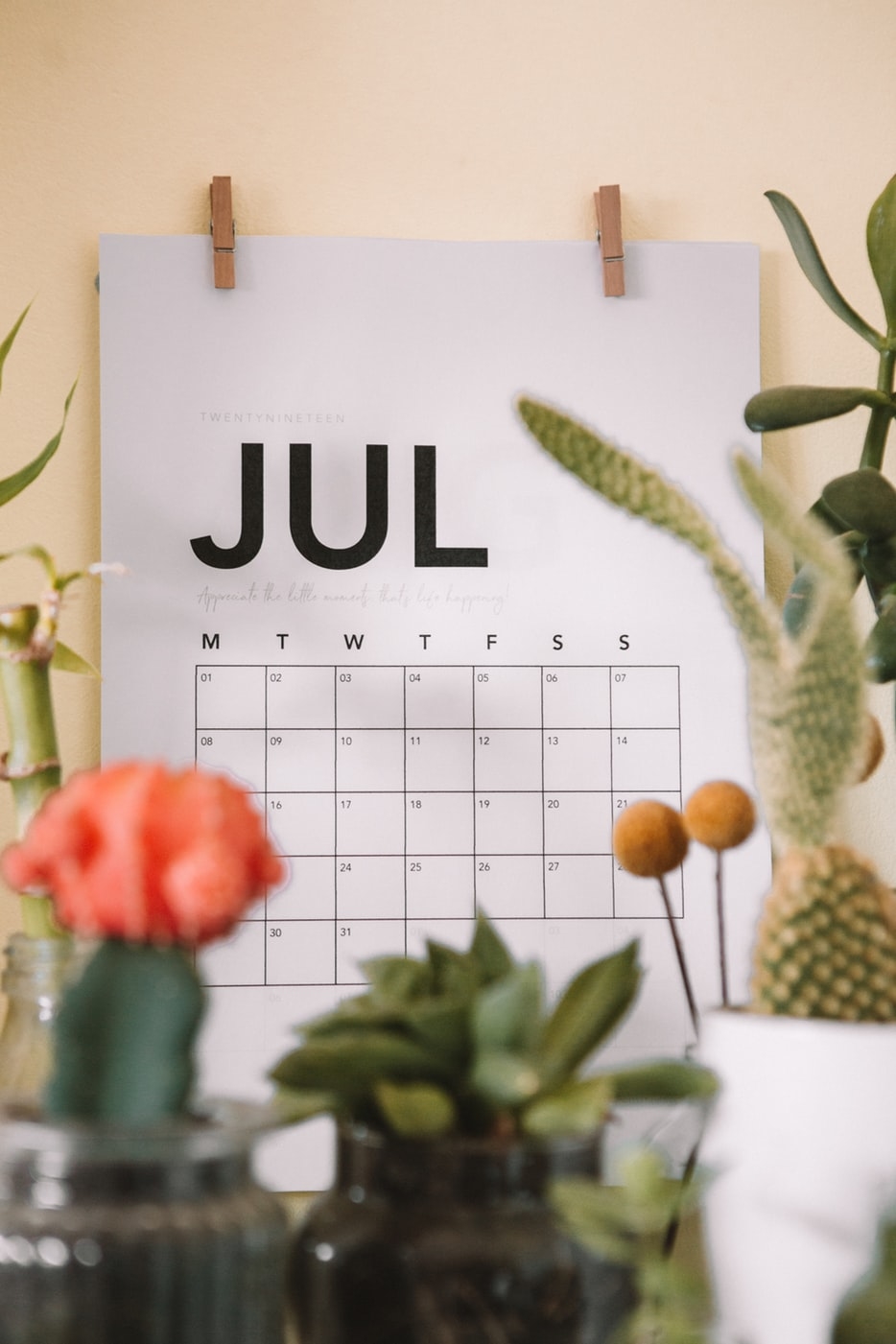 7月6日から先行販売が開始です