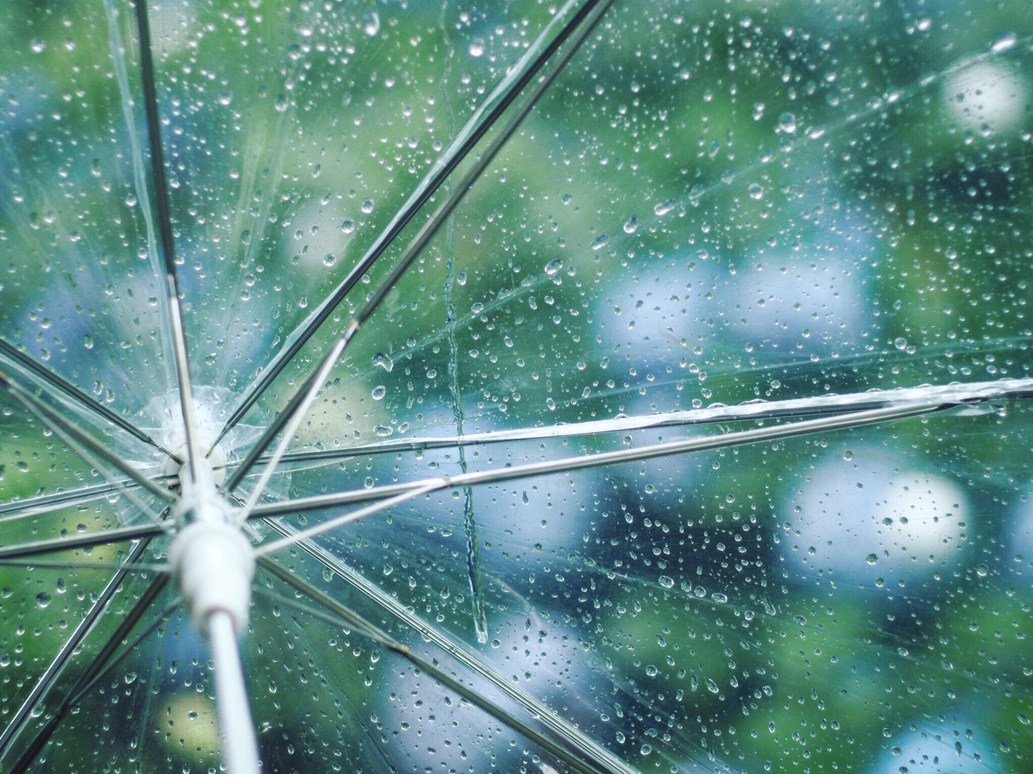 翠雨が君を連れてきた