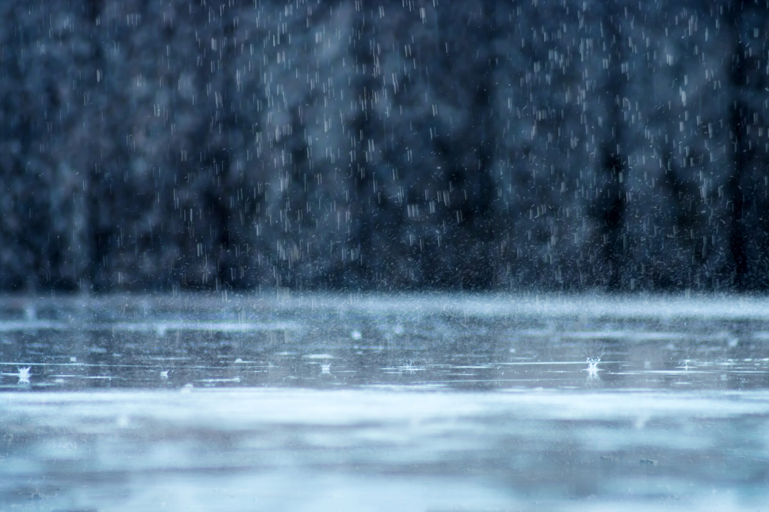 宿雨の中、君と2人