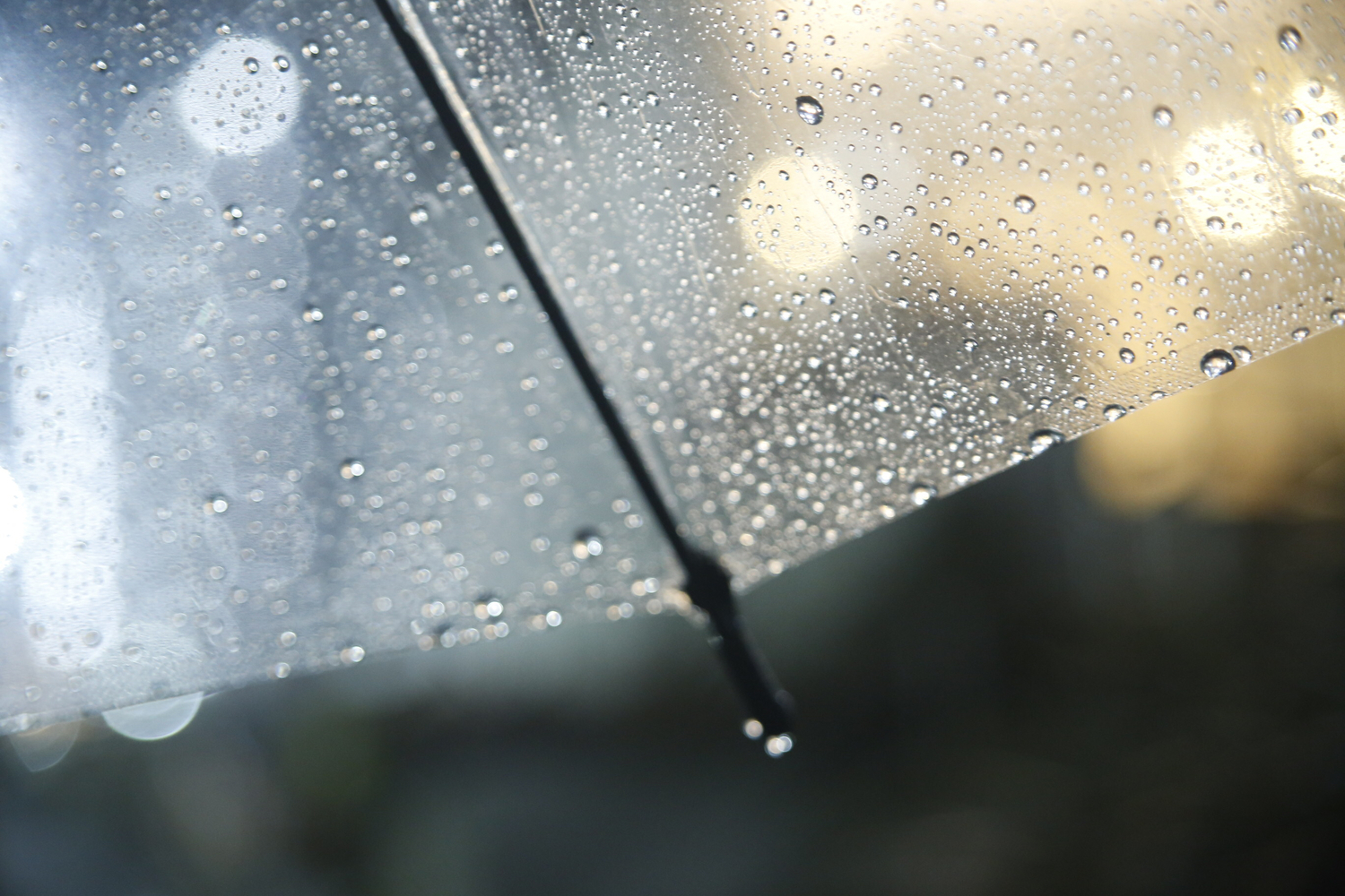 月時雨に包み込まれて