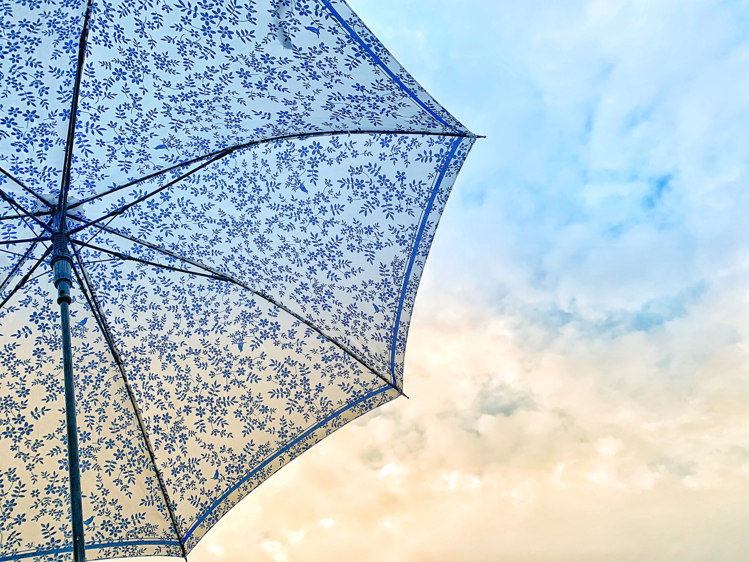 どの季節の雨も、君と一緒がいい