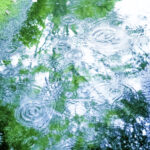 名もない天気にも名前がある。雨の呼び名が記憶に残る、私と彼の恋にまつわる物語
