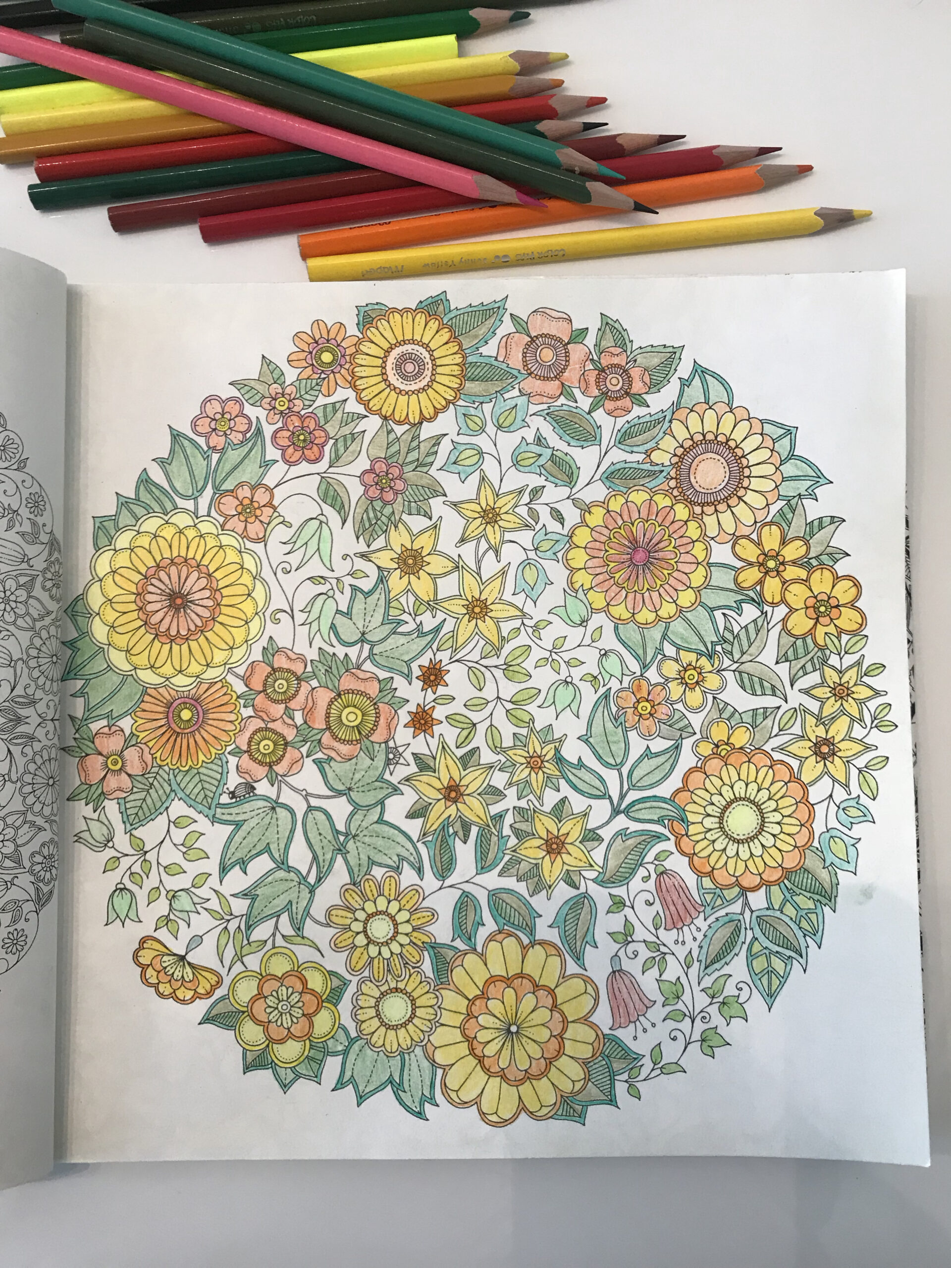 2:塗り絵