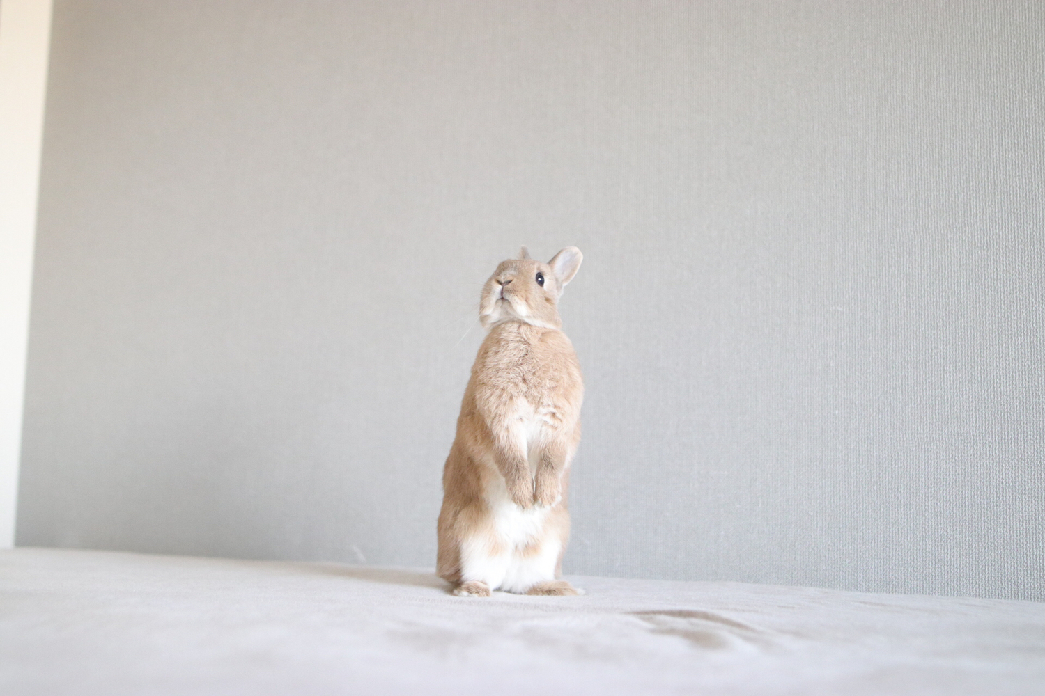 ▷堂々としたプレゼンの態度