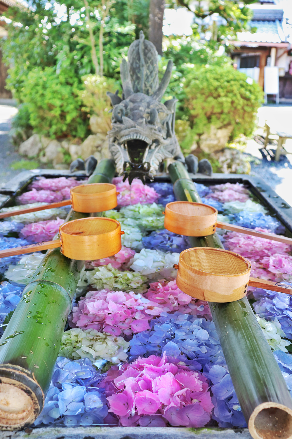 柳谷観音の花手水