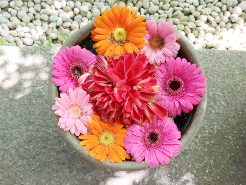 花手水を見に、おでかけしよう
