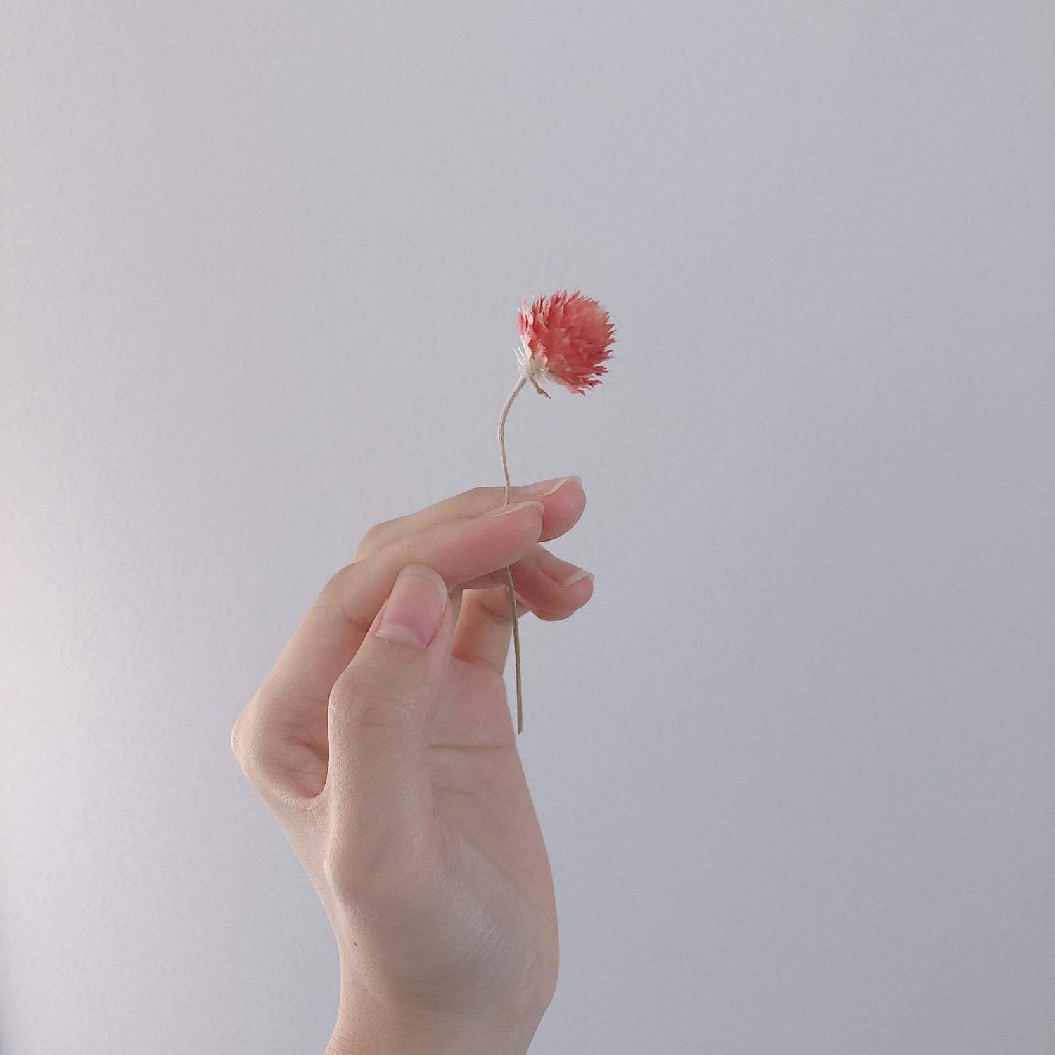 使ってさえいればそれで良い?