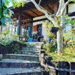 「ただいま」ってそっと呟く温もり空間。実家のようにくつろげる名古屋カフェ4選