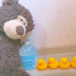 おうちのぬいぐるみ、健康状態はOK？大事なあの子をシャンプーや病院でケアして