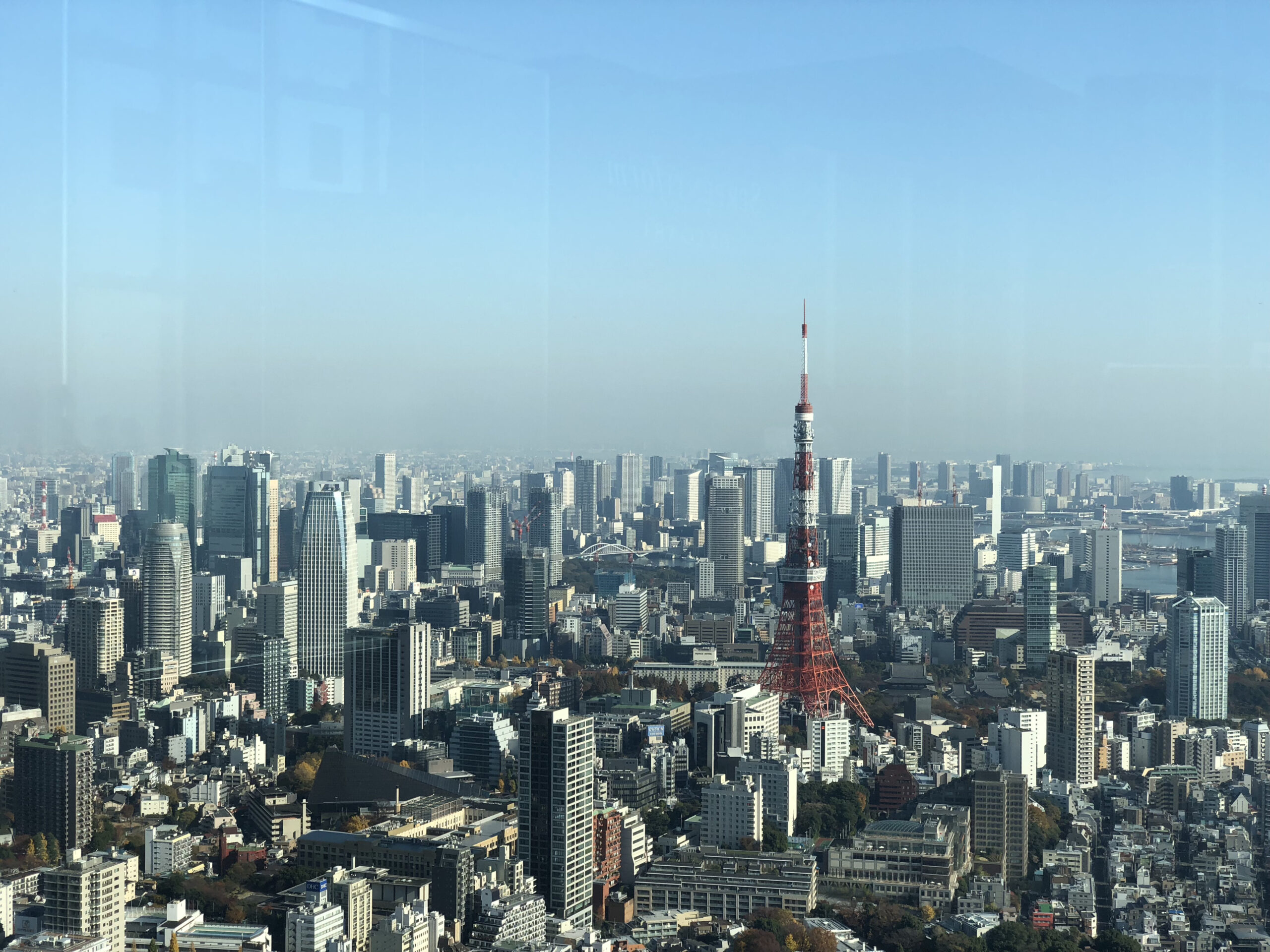 東京に行っても頑張ってね