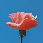 腕から見えるうす〜いムダ毛で、女度がdown。抜かりない、ツルツル肌を目指そう