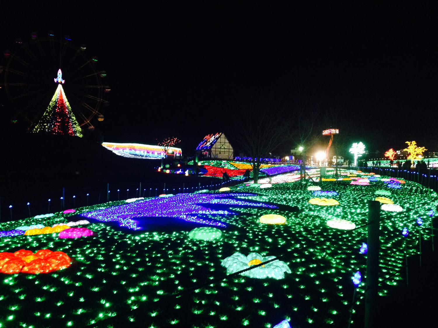 景色メインで楽しみたいなら｜東京ドイツ村