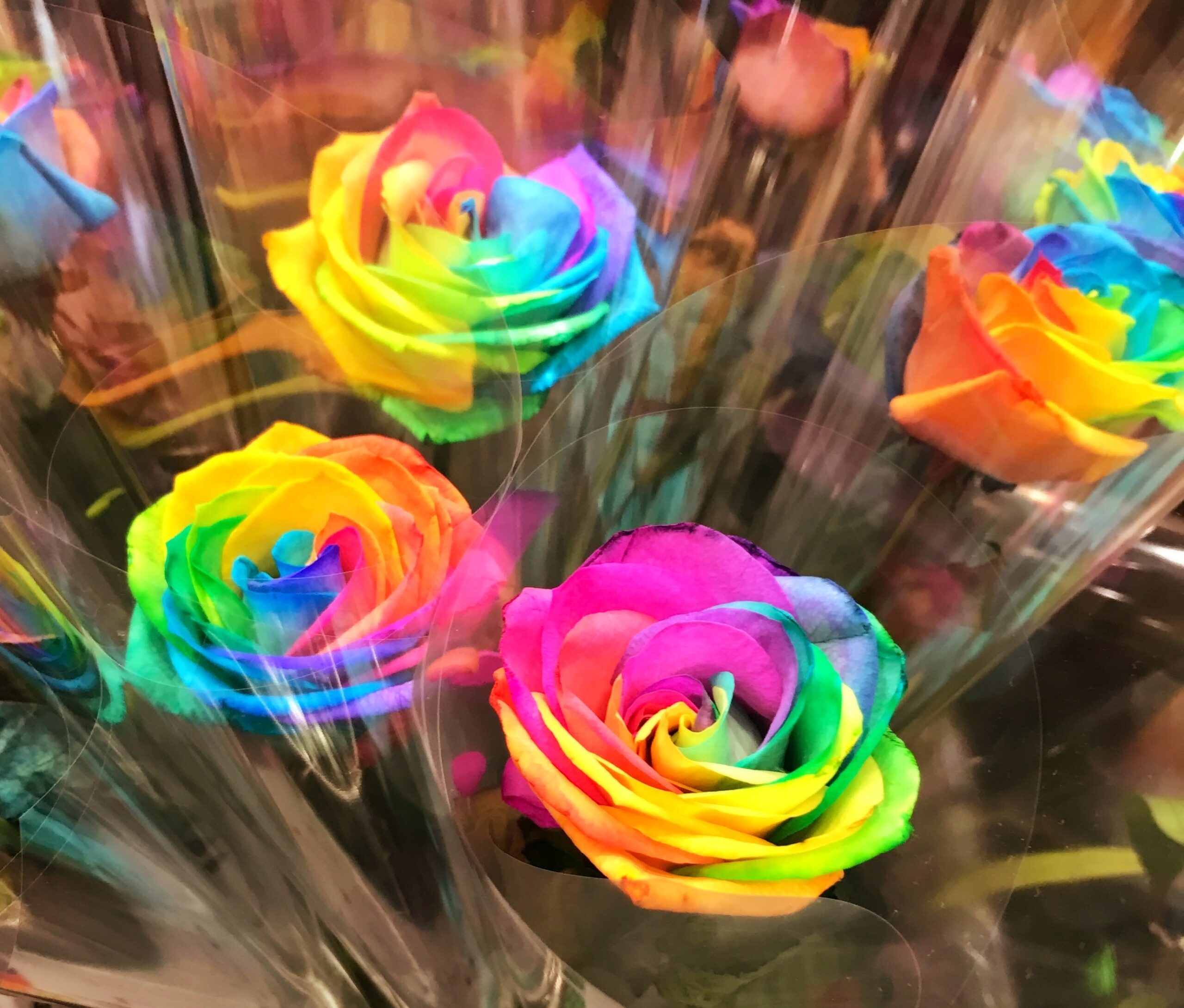 脂性肌