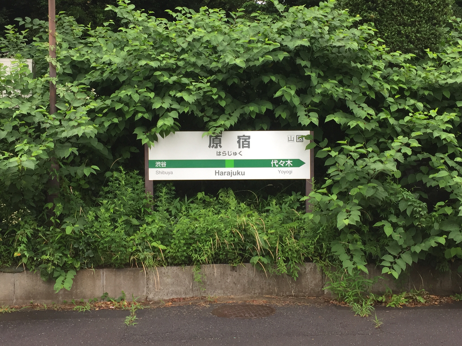 最先端を行く原宿はとっても楽しい街