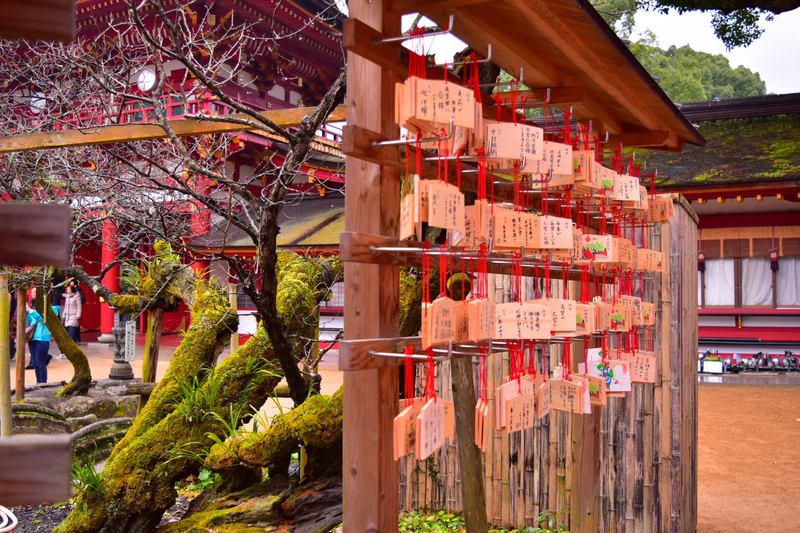 少し遠めの神社に初詣