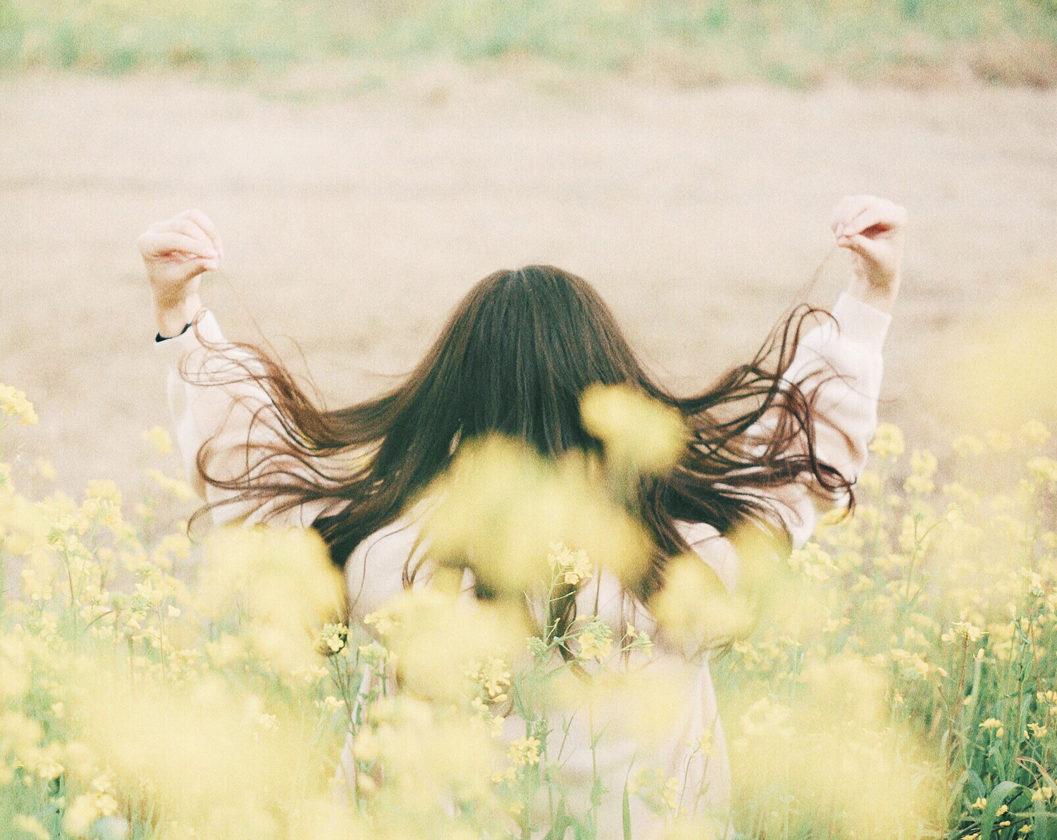 原因Ⅴ:花粉