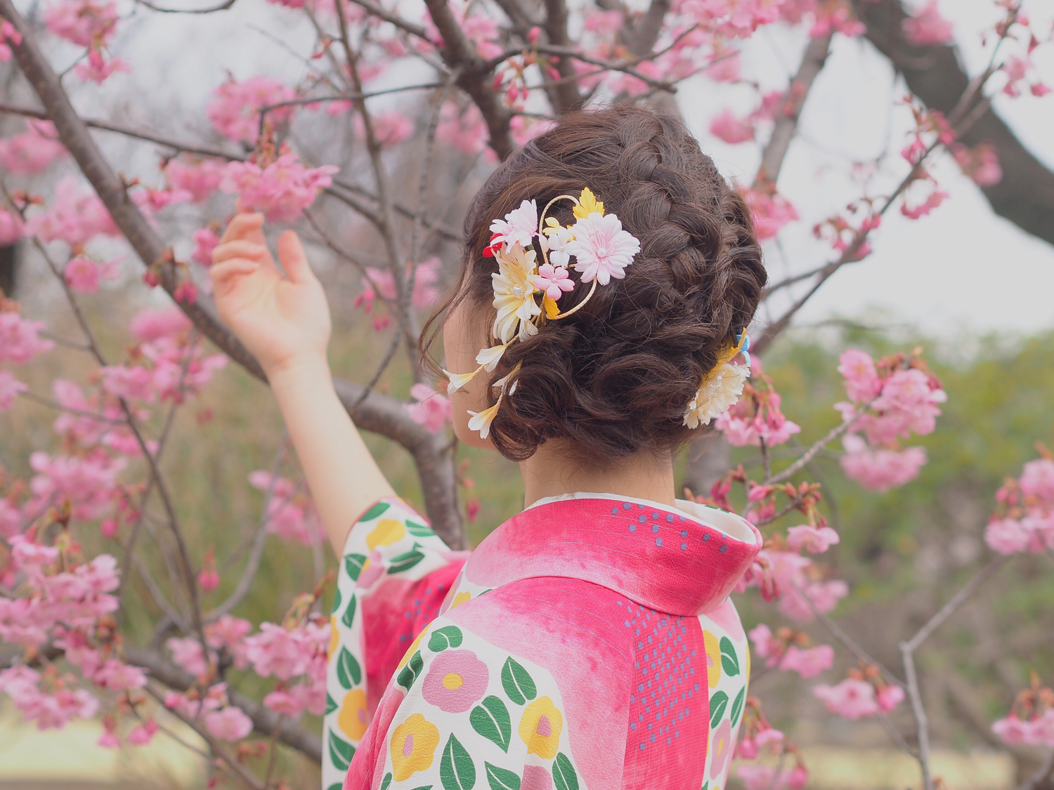 四季折々のやまとなでしこの美しい仕草