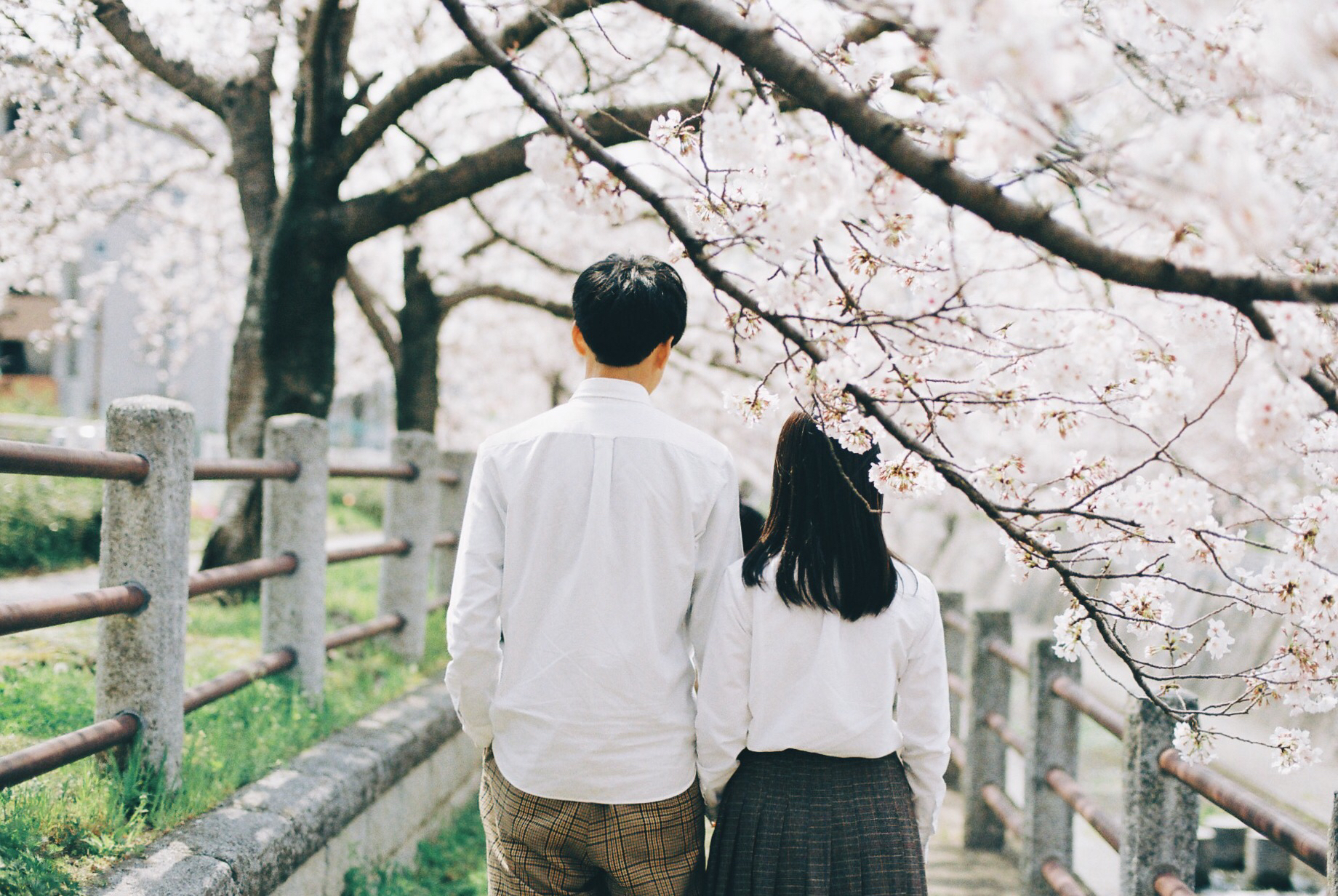 求む、相性のいい人!