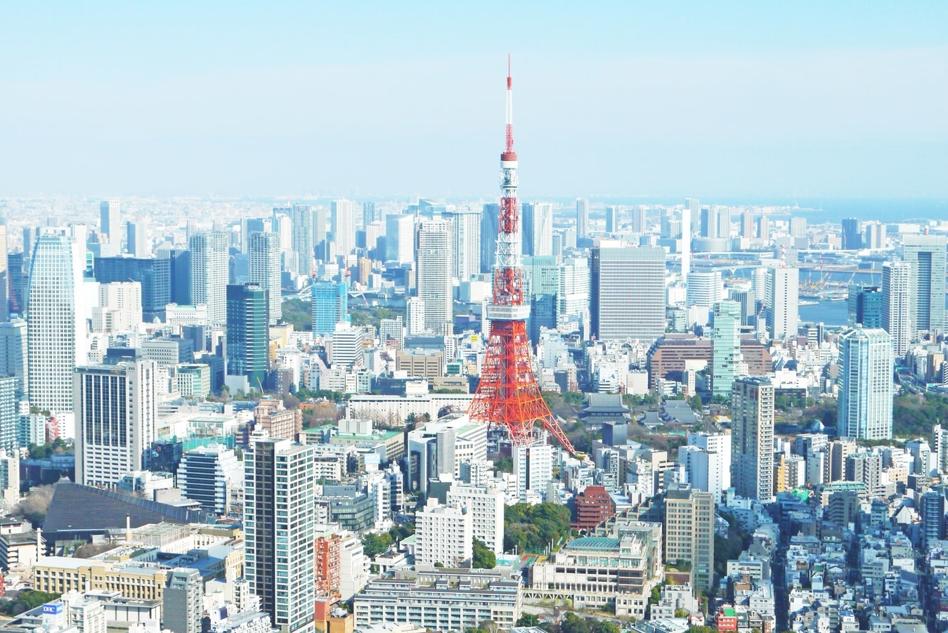 人もお店も溢れている東京